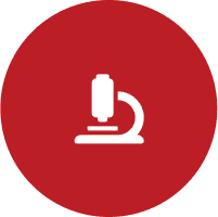sus_innovation